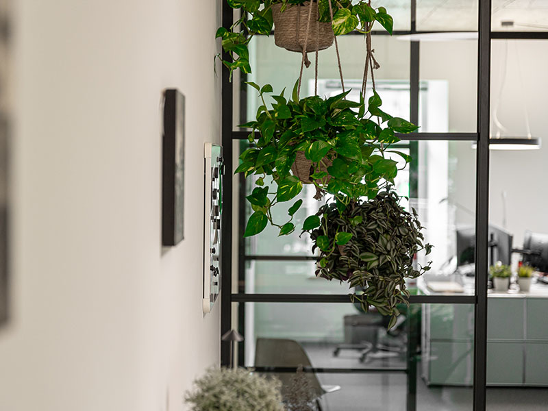 Hammer Steuerberatung